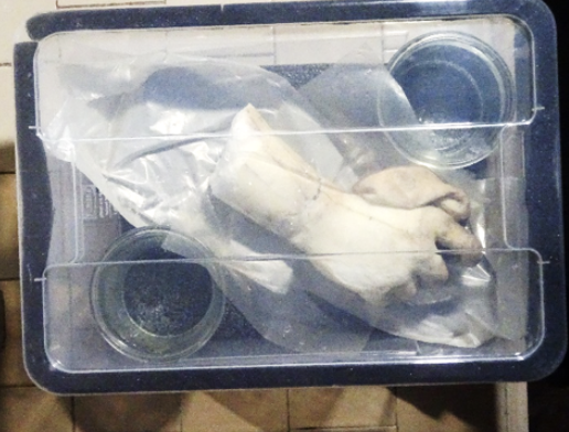 Flora Statue Restoration 2