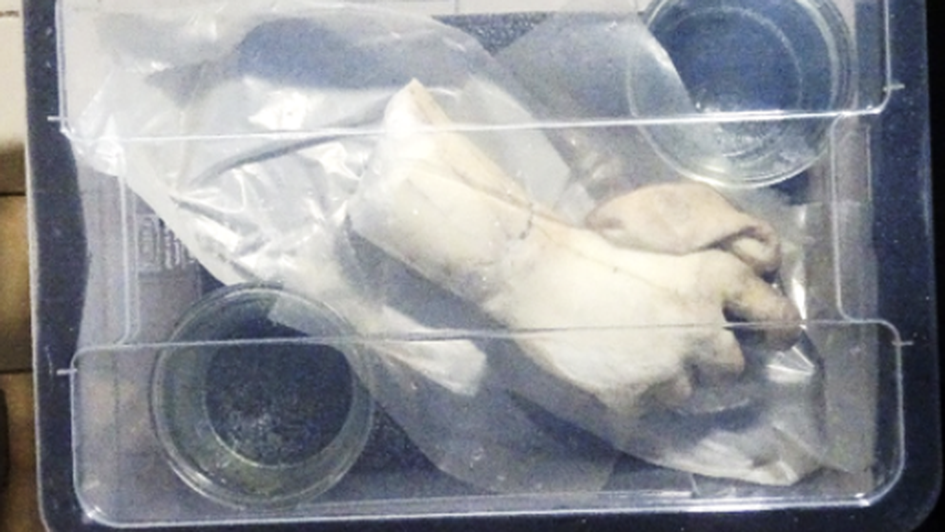 Flora Statue Restoration 2