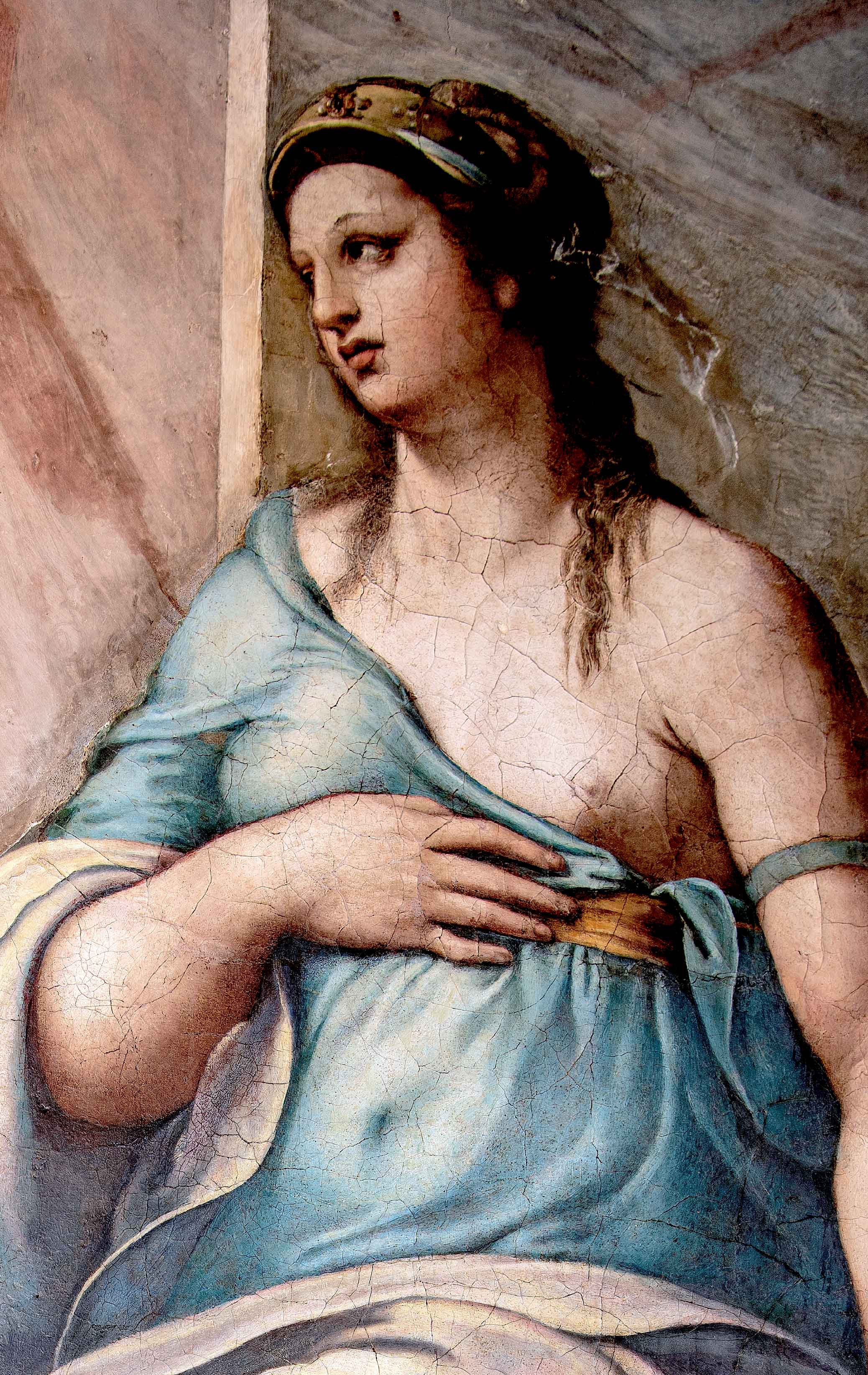 Comitas - After Restoration