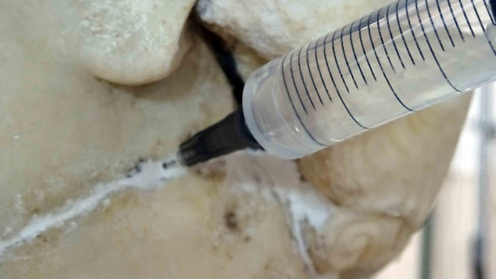 Statue of Flora - Injection