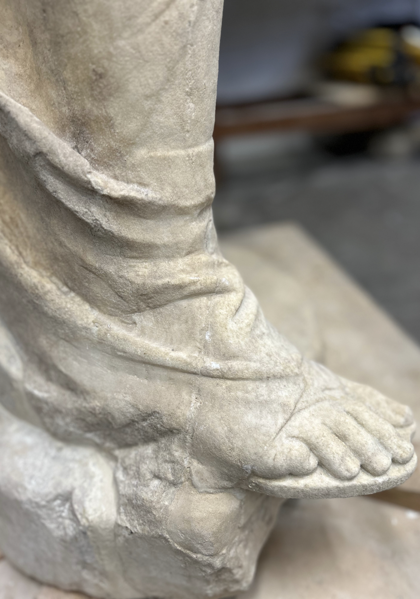 Flora State After Restoration 3