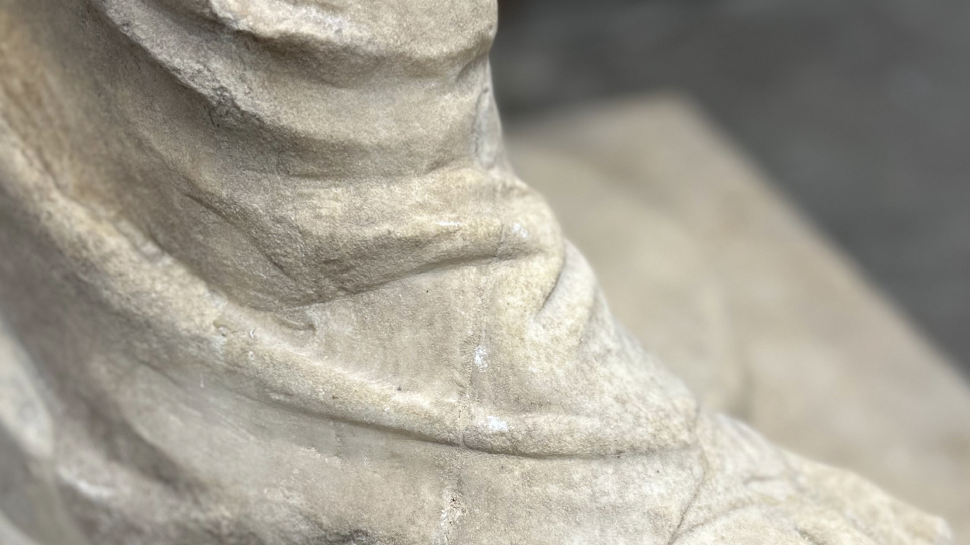 Flora State After Restoration 3