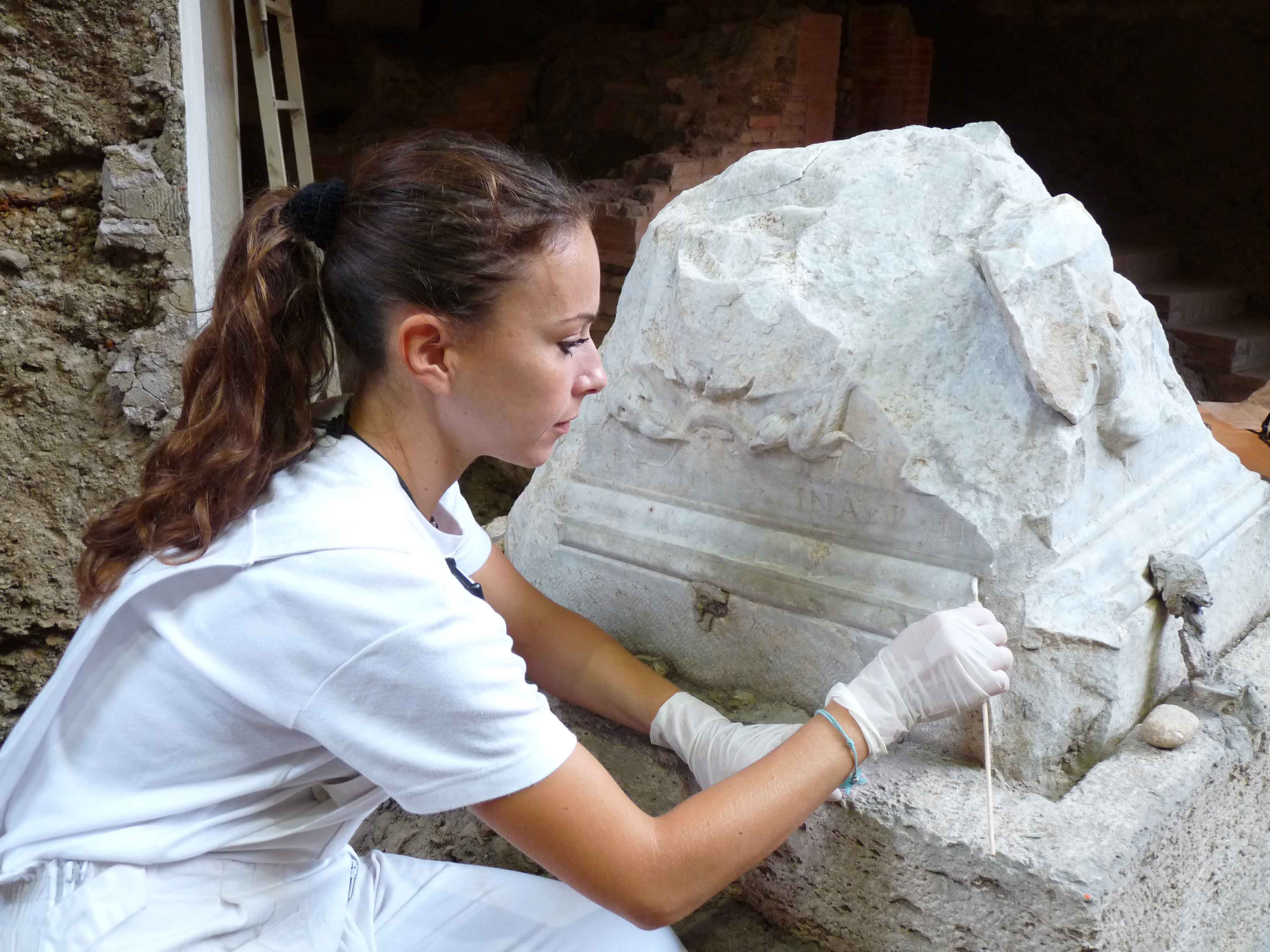 Ongoing Conservation of Santa Rosa