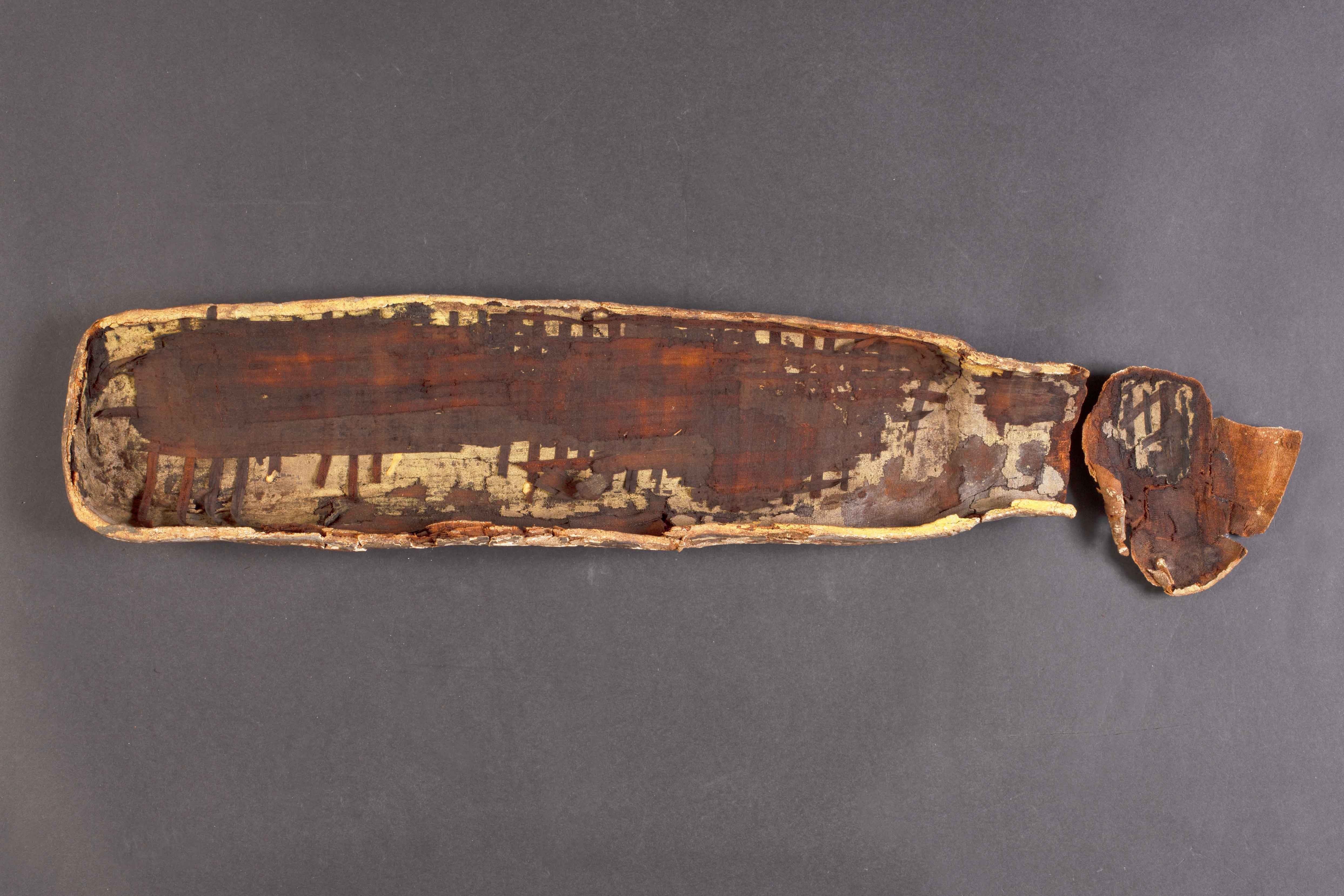 Cat mummy, inside view of the painted cardboard case - Before Restoration