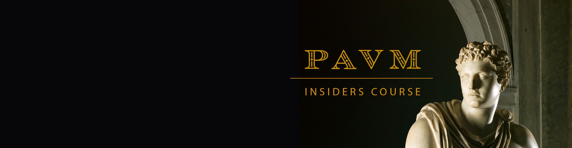 PAVM Insiders Course