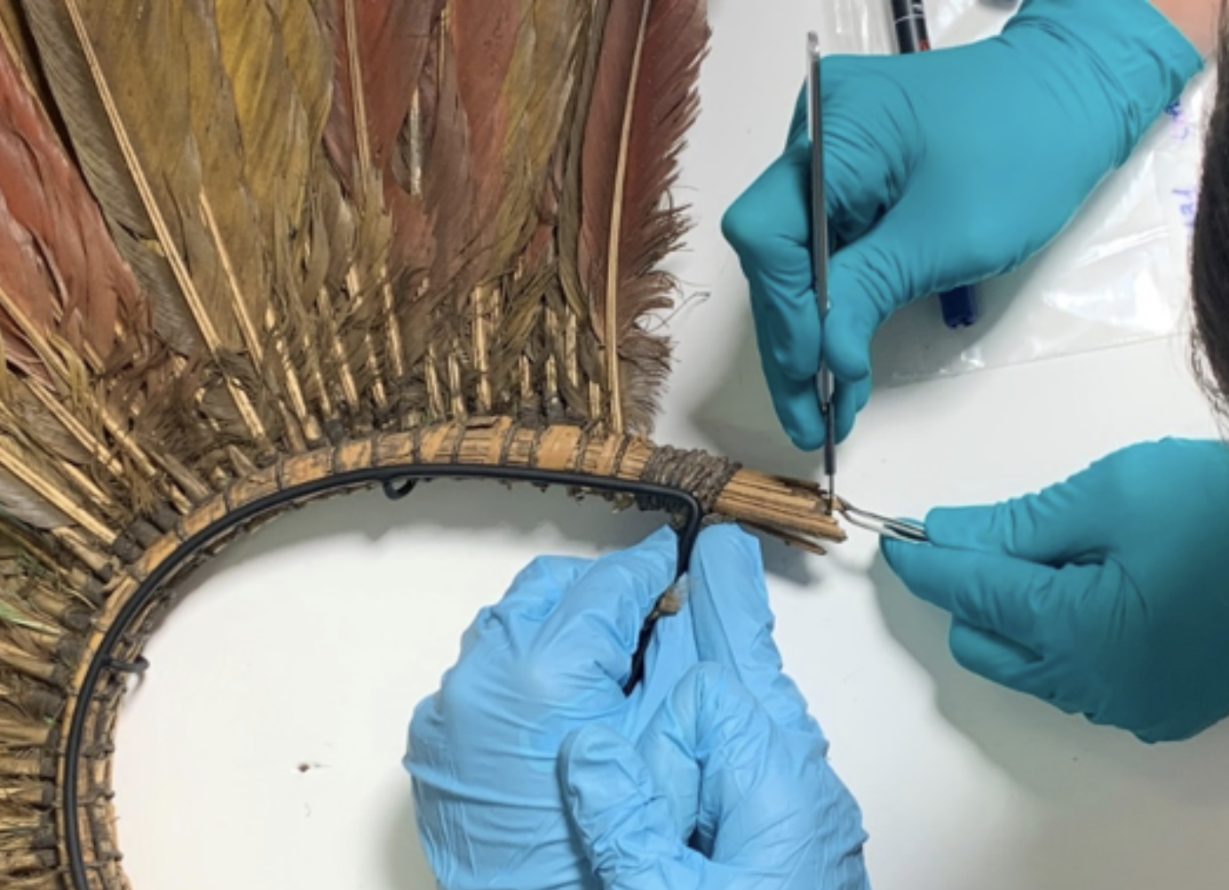 Sampling for plant fiber identification