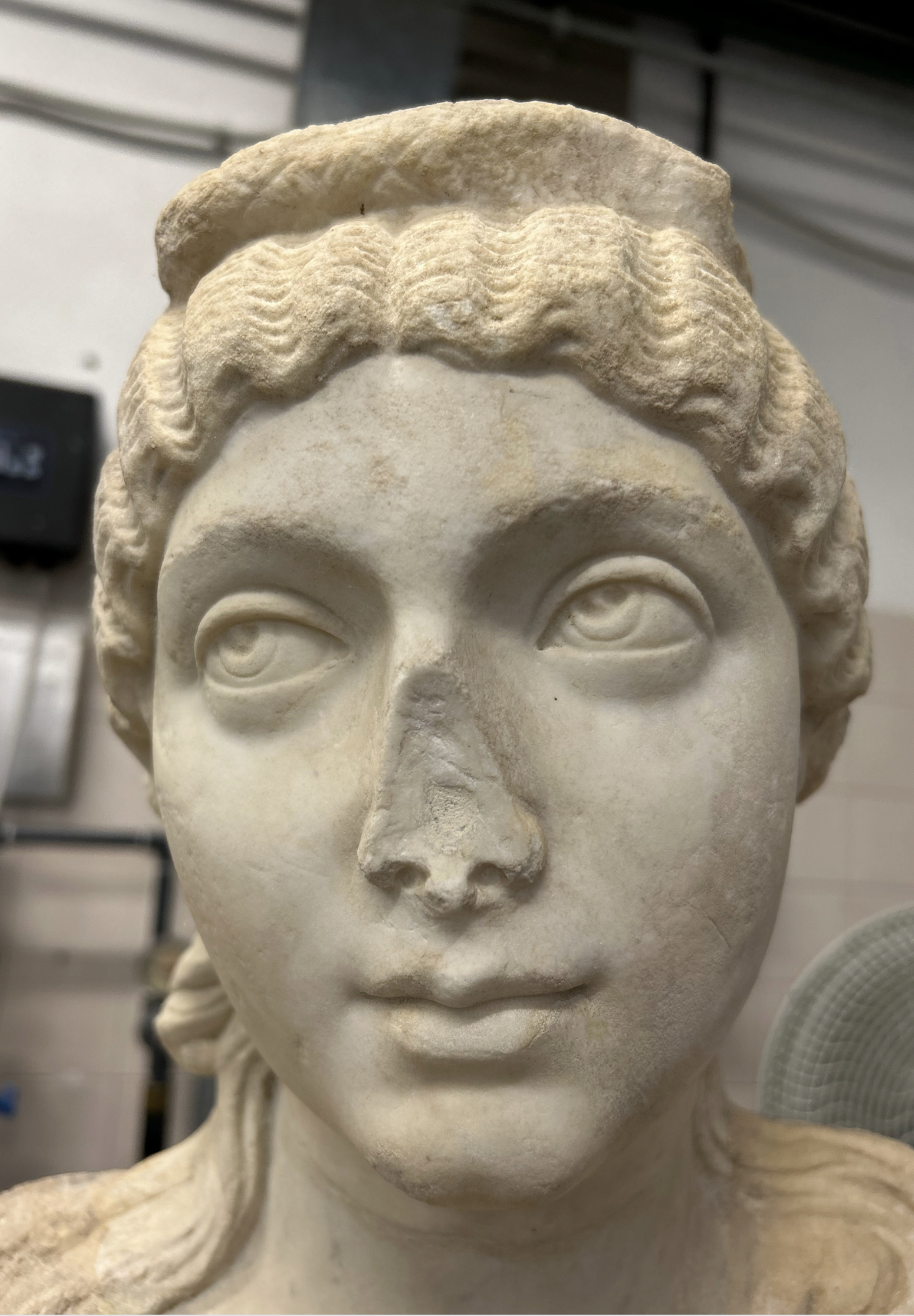 Flora State After Restoration 2