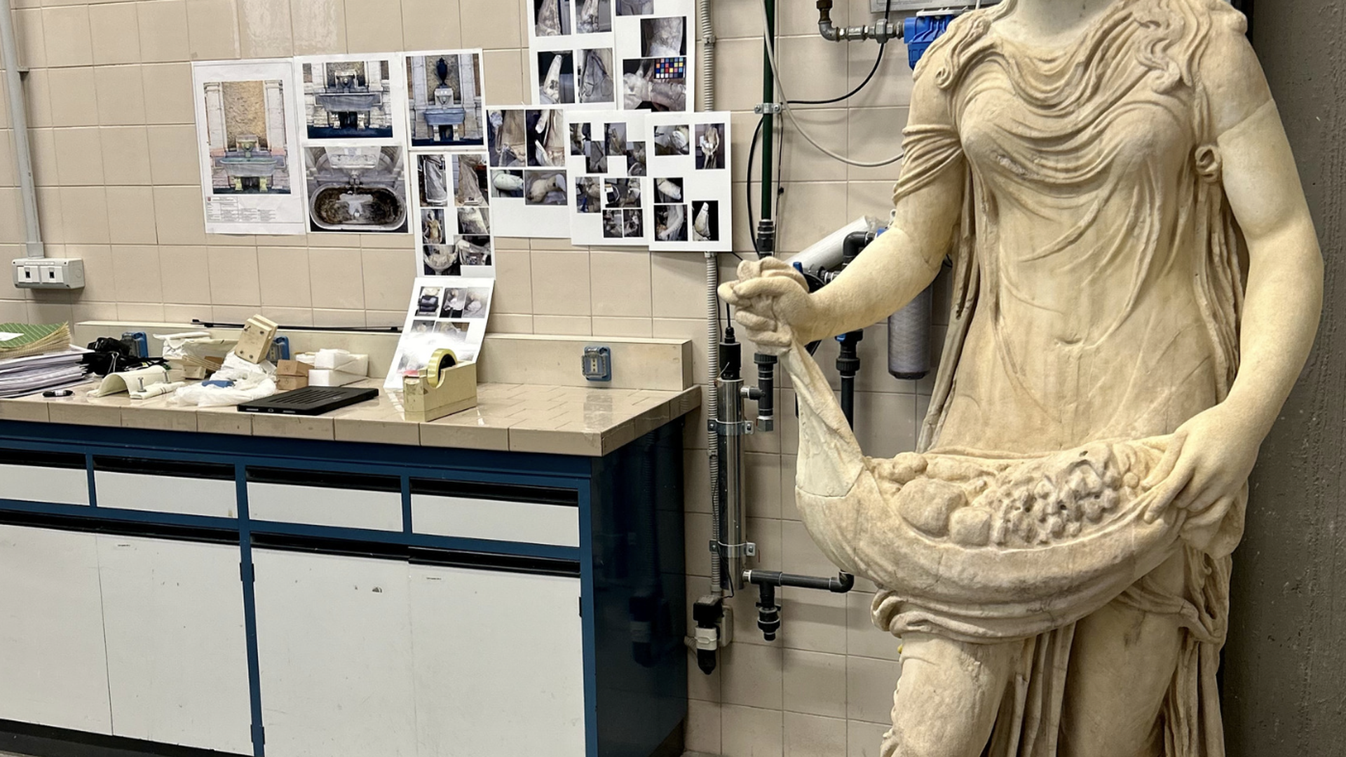 Flora State After Restoration 1