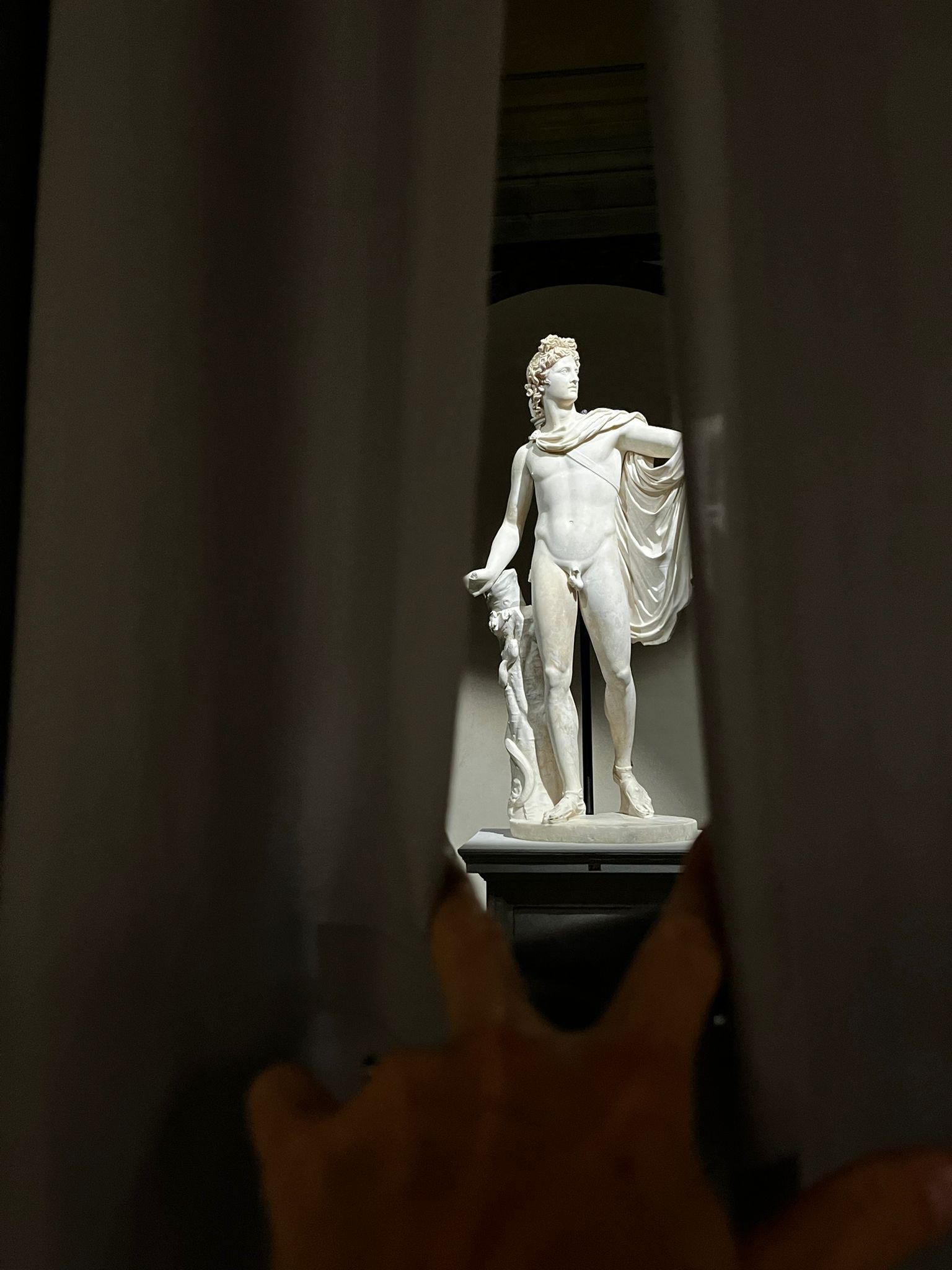Apollo Belvedere Restoration