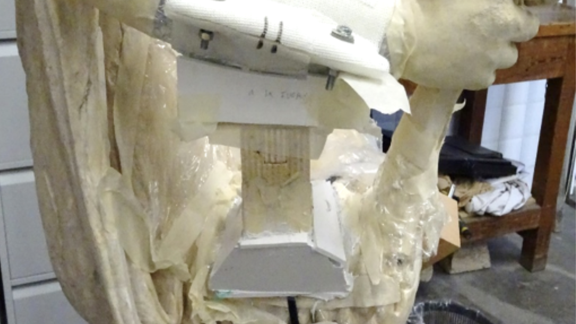 Flora Statue Provisional support and brace sleeve for the arm