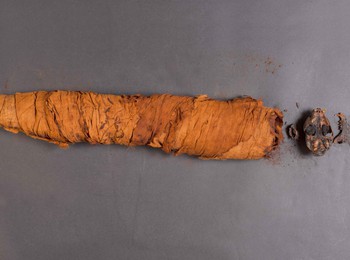 cat-mummy