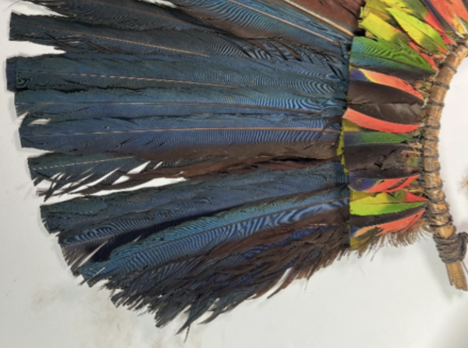 Feather front before treatment