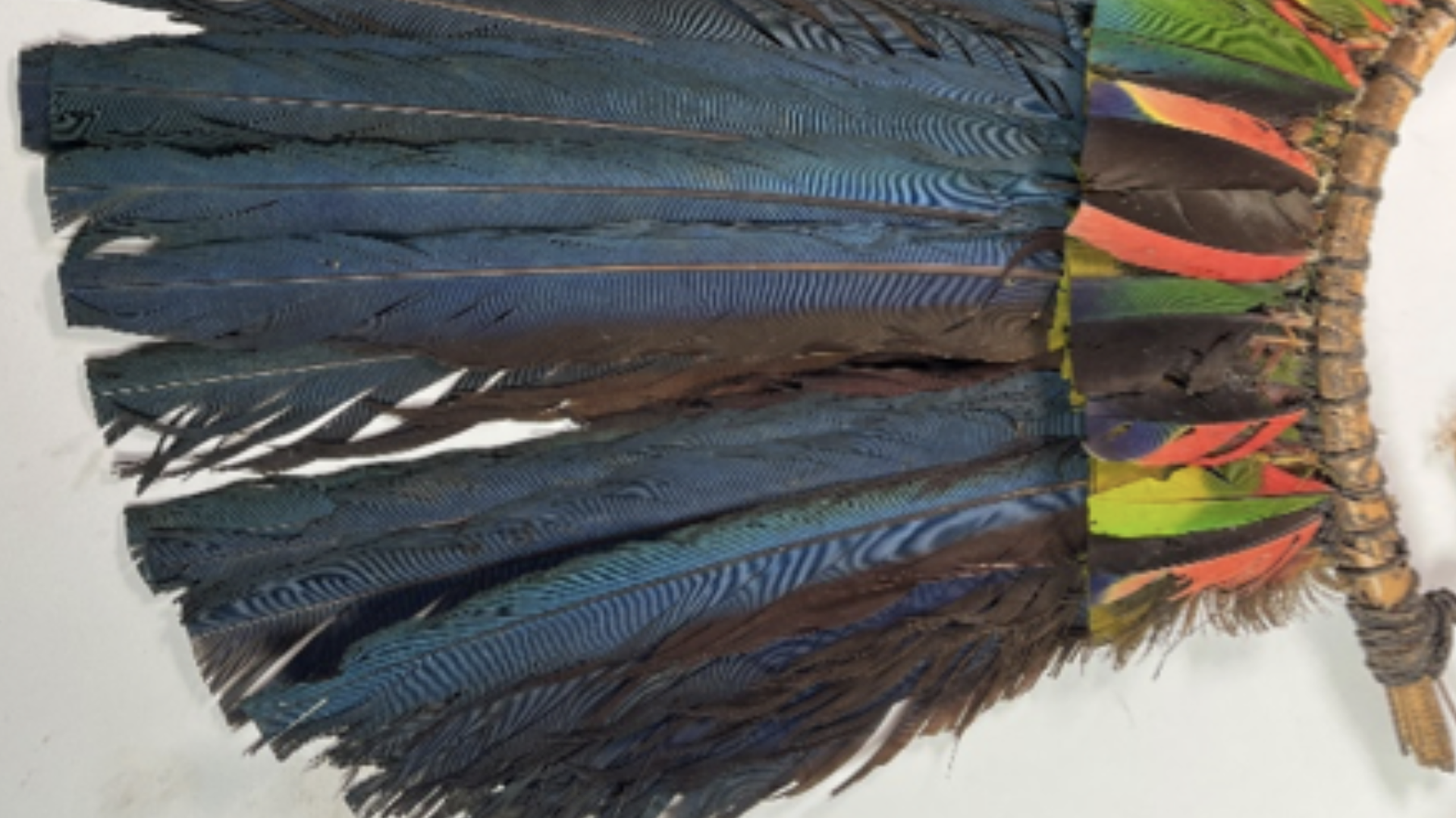 Feather front before treatment