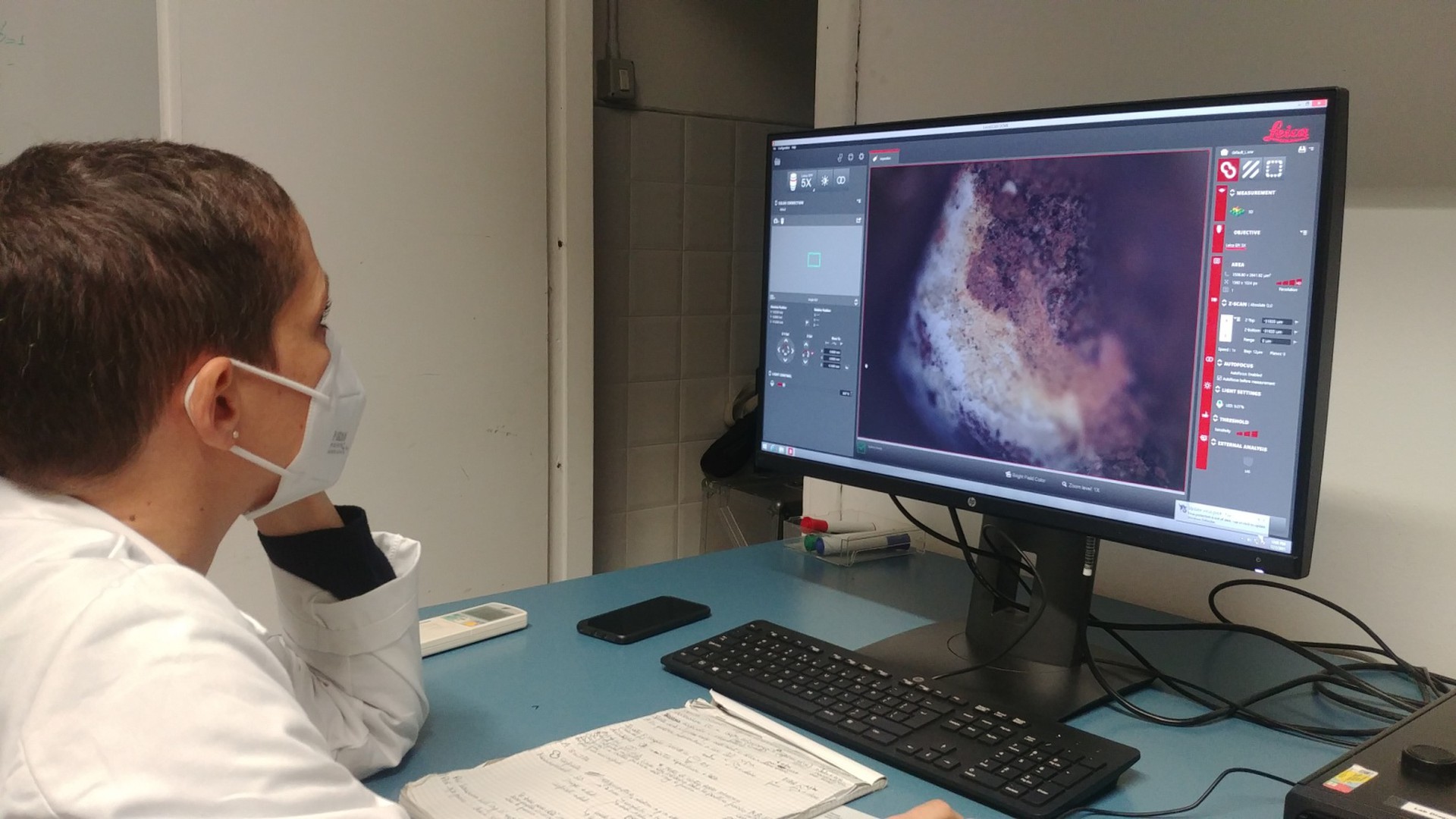Scientific investigations for the study of pigments